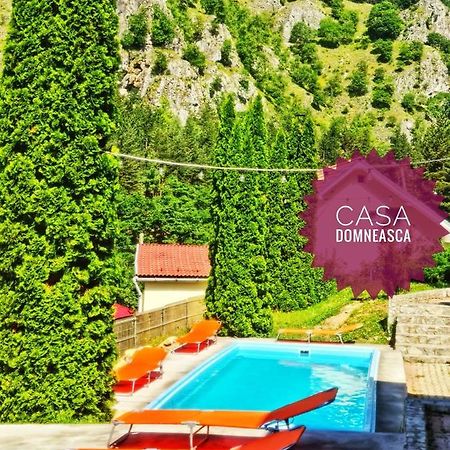 Casa Domneasca Villa Baia de Fier Ngoại thất bức ảnh