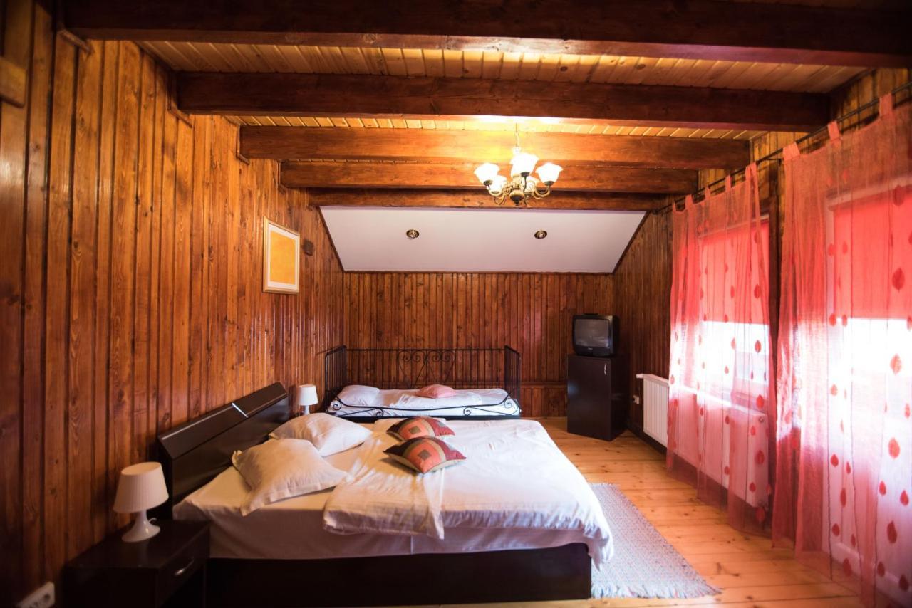 Casa Domneasca Villa Baia de Fier Ngoại thất bức ảnh