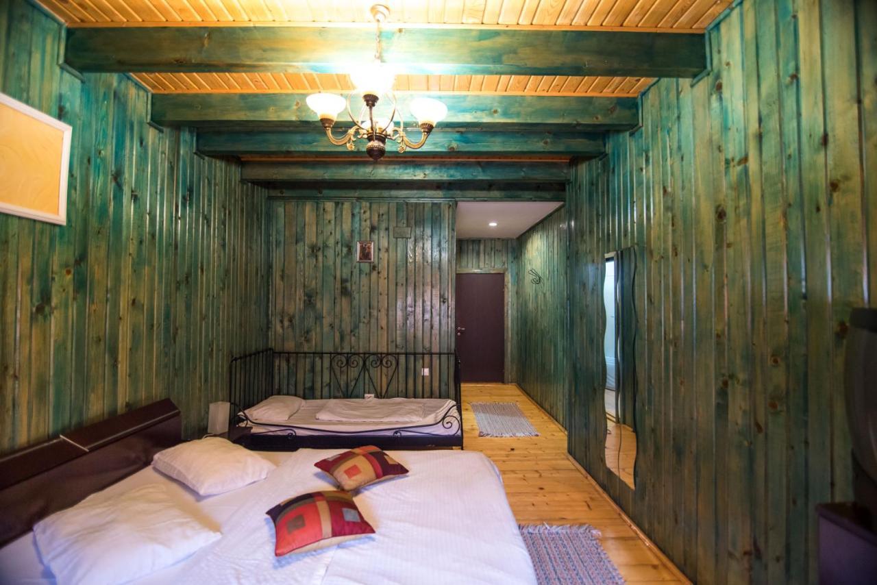Casa Domneasca Villa Baia de Fier Ngoại thất bức ảnh