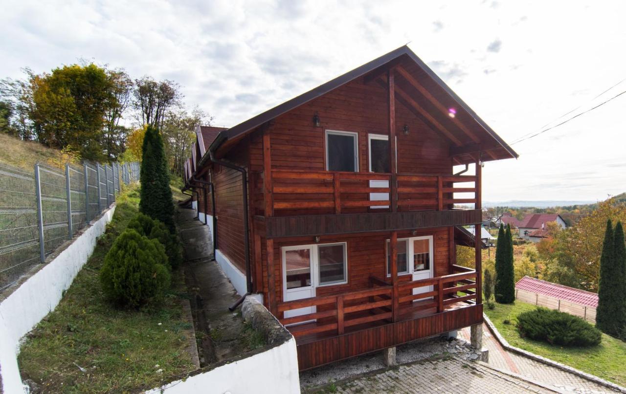 Casa Domneasca Villa Baia de Fier Ngoại thất bức ảnh