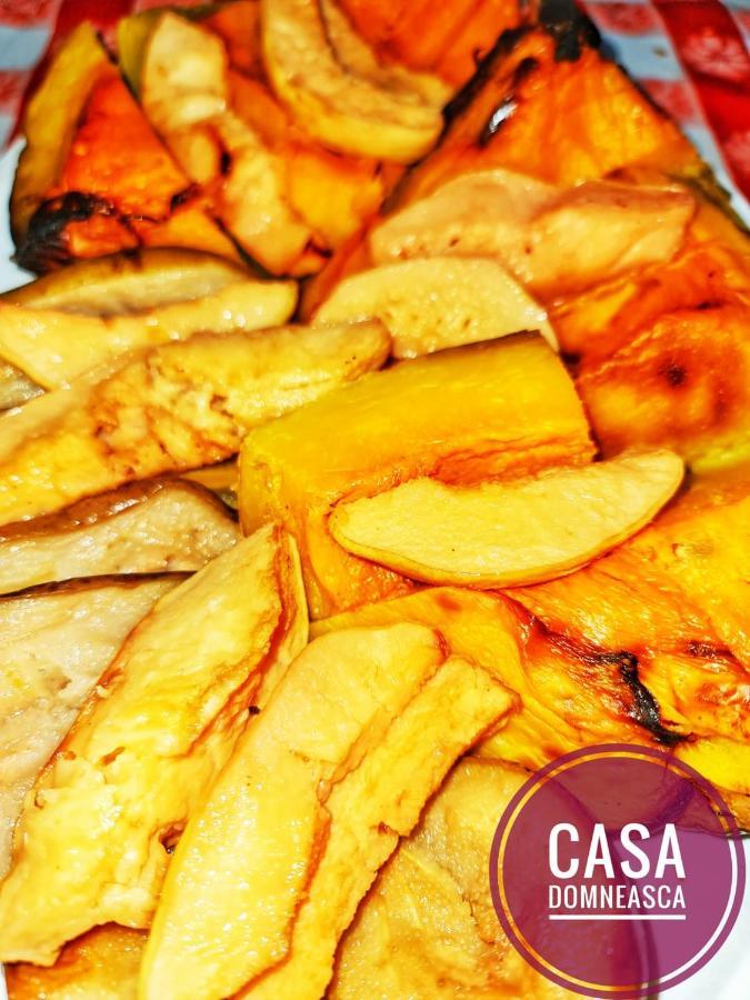 Casa Domneasca Villa Baia de Fier Ngoại thất bức ảnh