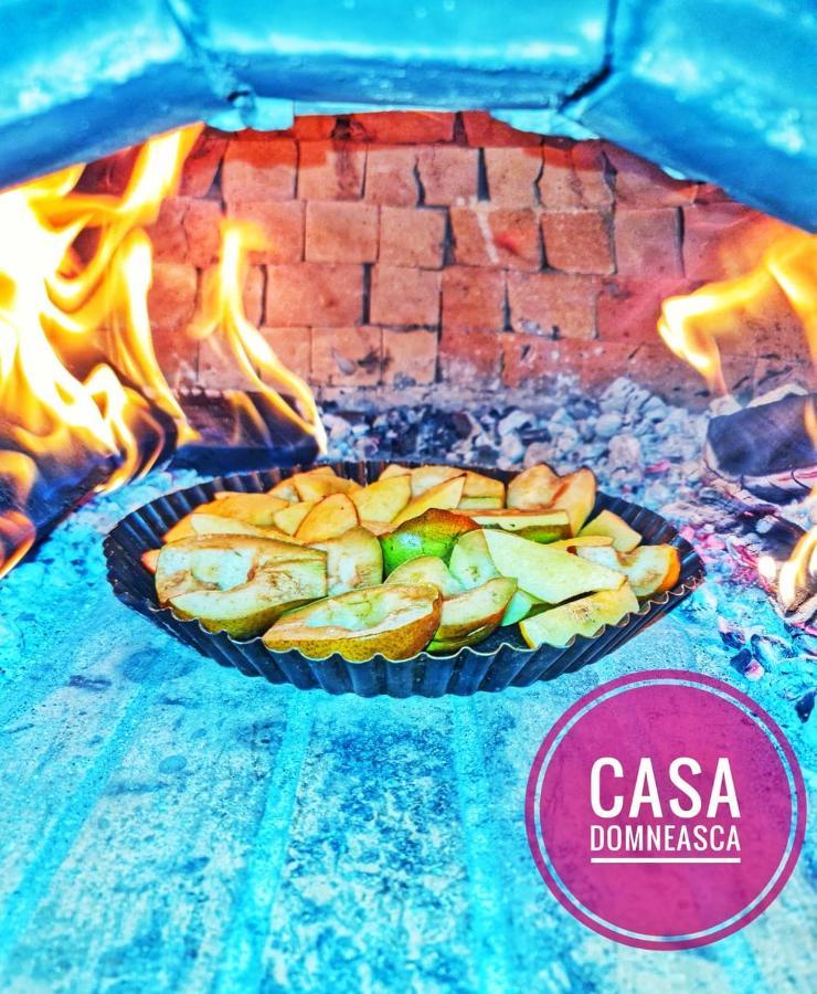 Casa Domneasca Villa Baia de Fier Ngoại thất bức ảnh