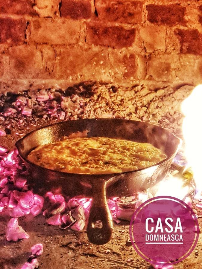 Casa Domneasca Villa Baia de Fier Ngoại thất bức ảnh