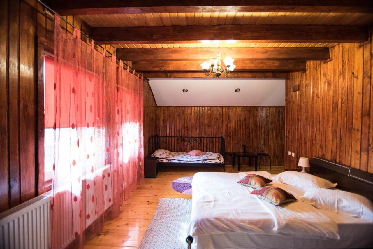 Casa Domneasca Villa Baia de Fier Ngoại thất bức ảnh