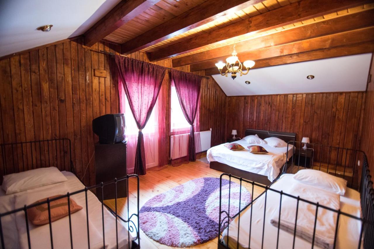 Casa Domneasca Villa Baia de Fier Ngoại thất bức ảnh