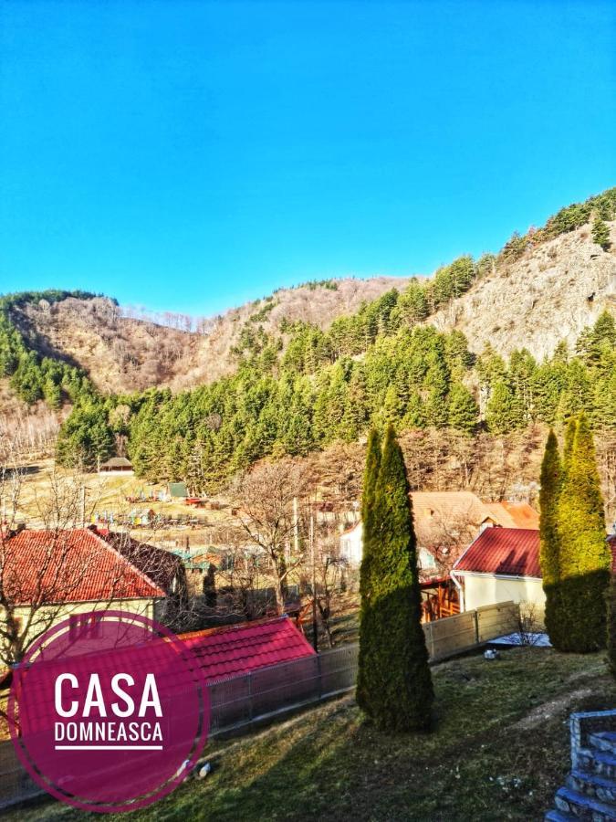 Casa Domneasca Villa Baia de Fier Ngoại thất bức ảnh