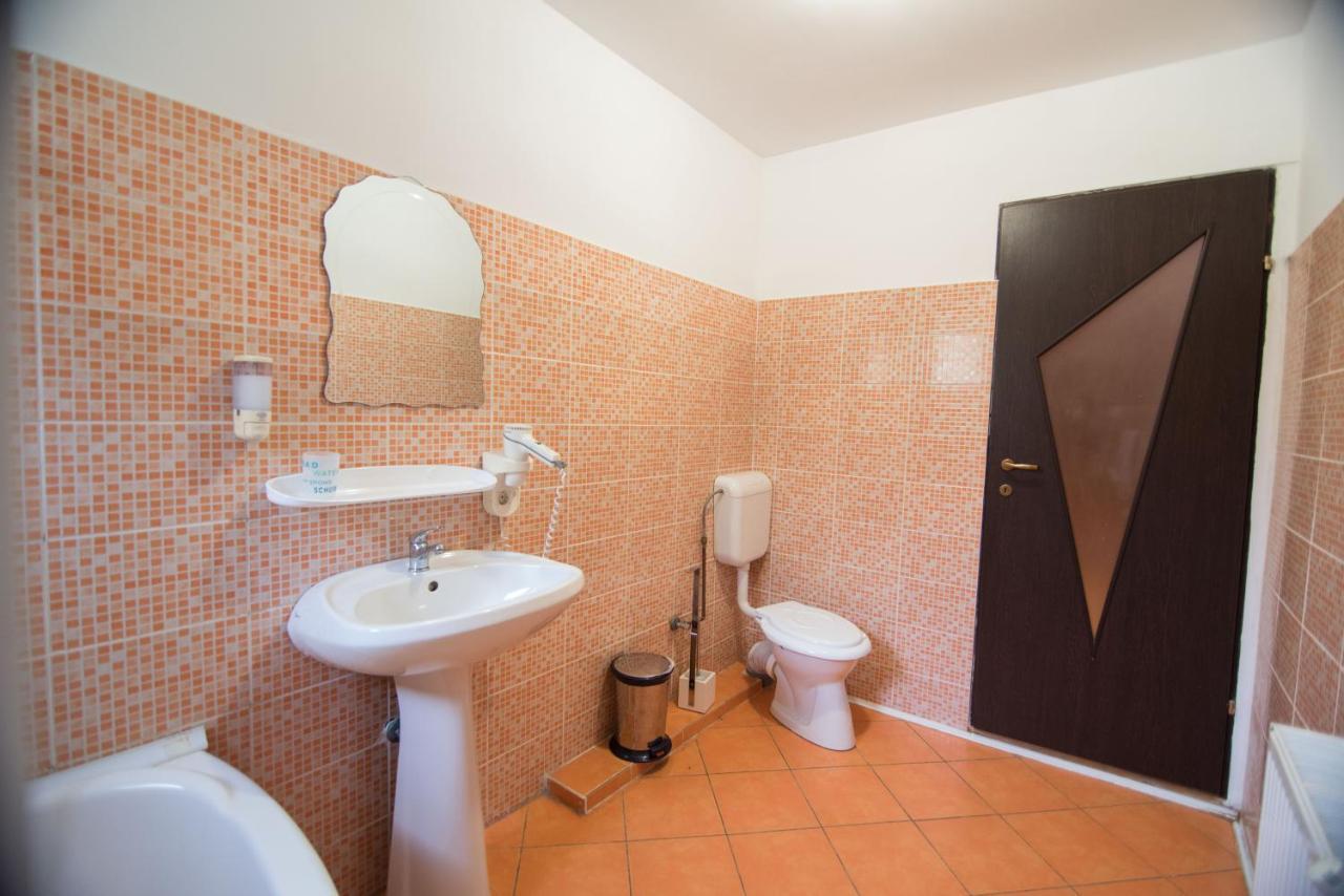 Casa Domneasca Villa Baia de Fier Ngoại thất bức ảnh
