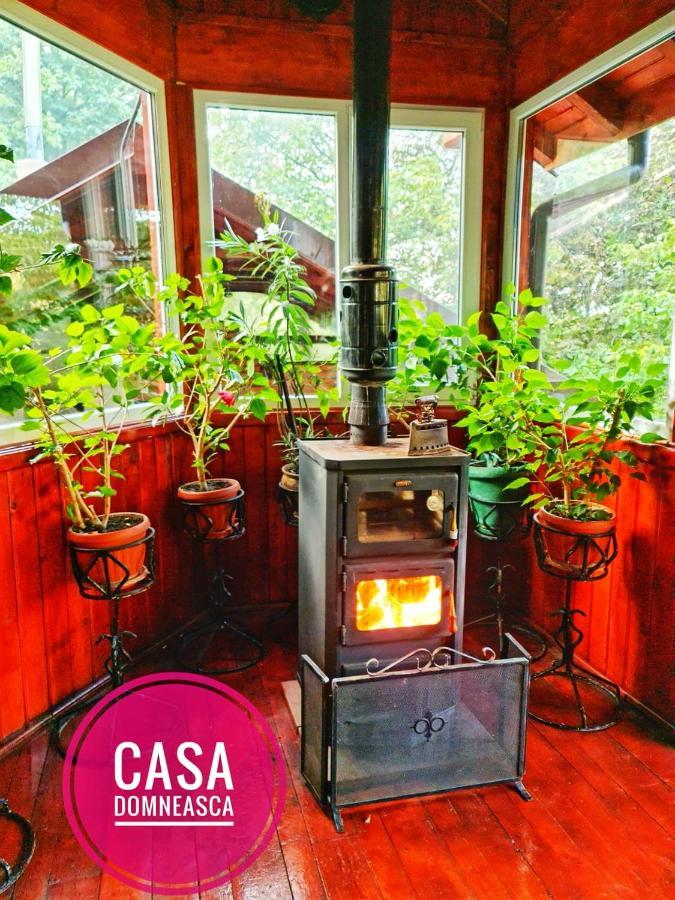 Casa Domneasca Villa Baia de Fier Ngoại thất bức ảnh