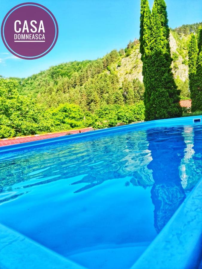 Casa Domneasca Villa Baia de Fier Ngoại thất bức ảnh